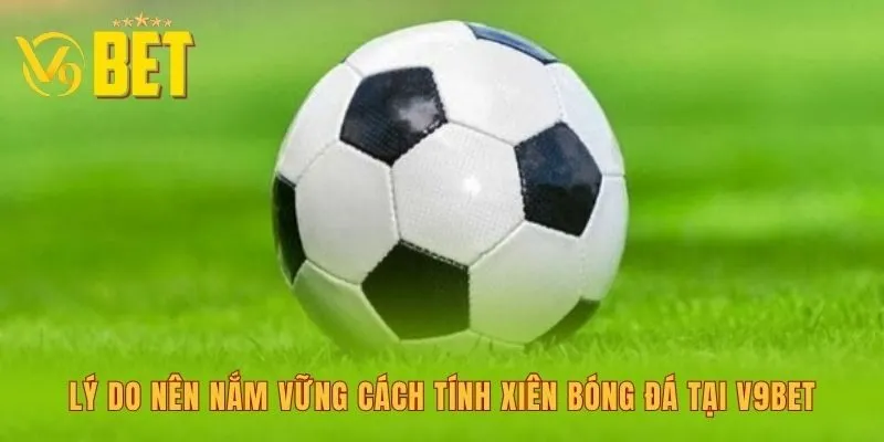 ly-do-nen-nam-vung-cach-tinh-xien-bong-da-tai-v9bet