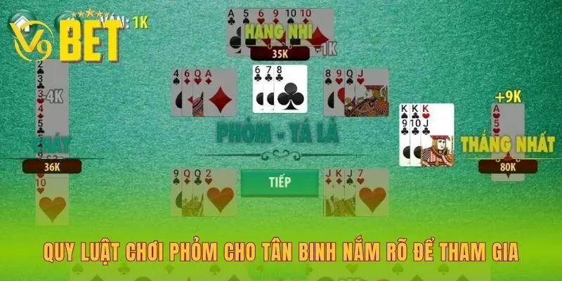 quy-luat-choi-phom-cho-tan-binh-nam-ro-de-tham-gia